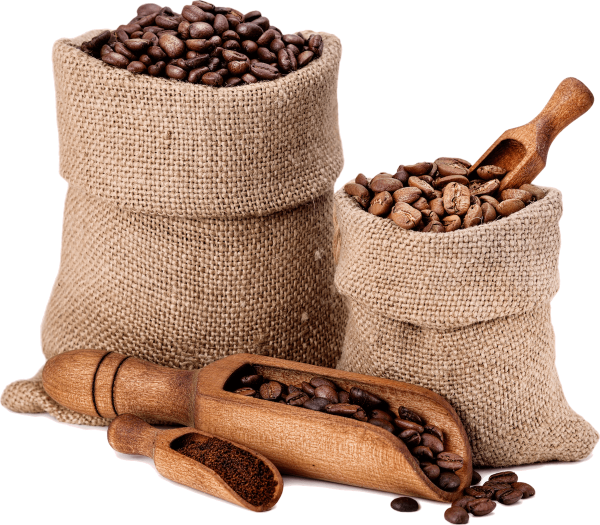 varieties-of-coffee-beans-P8XB6TB.png